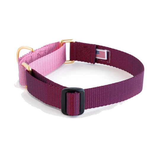 Dog+Bone Martingale Collar Purple & Orchid