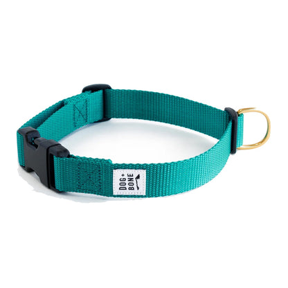 Dog+Bone Adjustable Snap Collar Teal