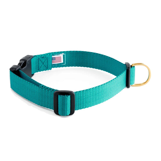 Dog+Bone Adjustable Snap Collar Teal
