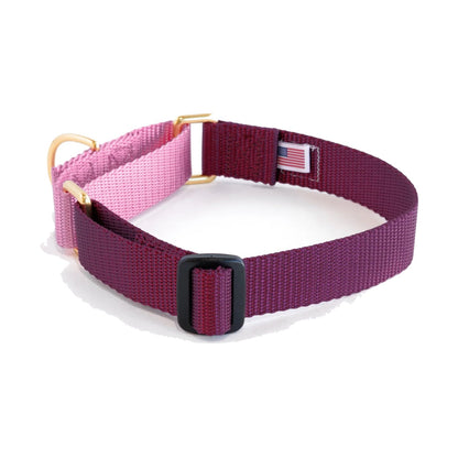 Dog+Bone Martingale Collar Purple & Orchid