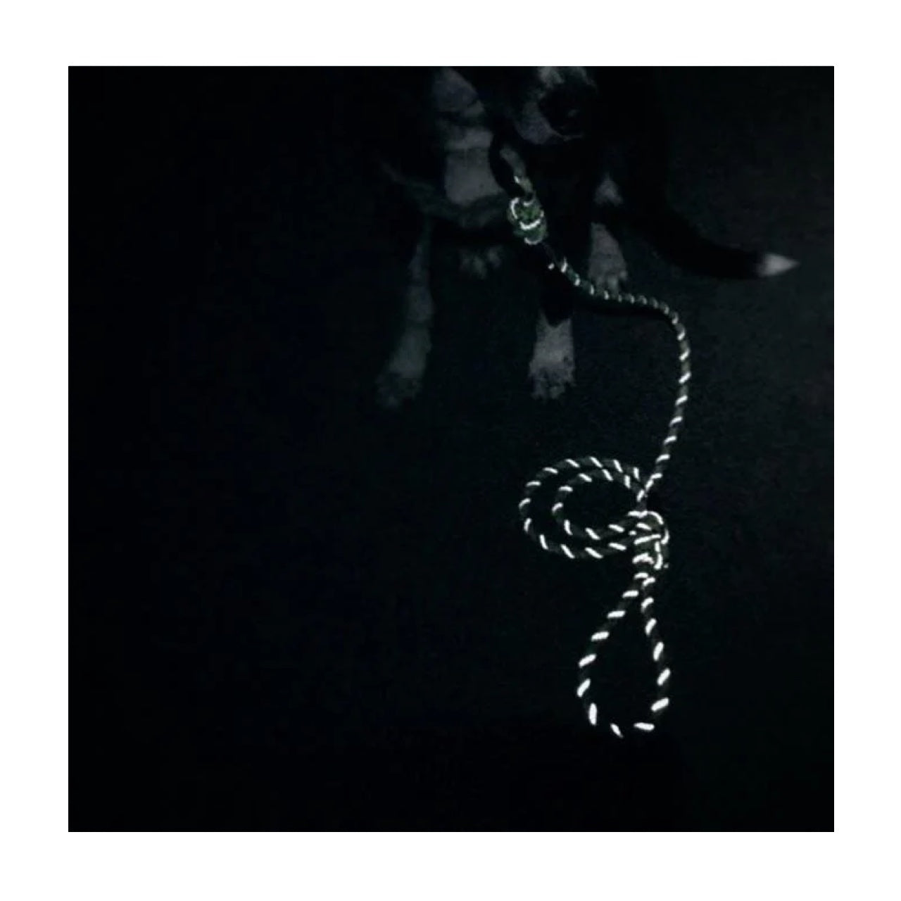 Wilderdog Woven Collar Alpine Reflective