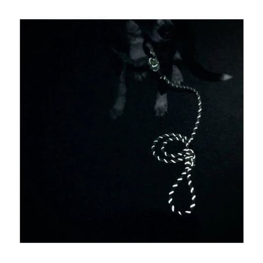 Wilderdog Woven Collar Alpine Reflective